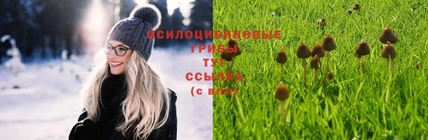 а пвп мука Алексин