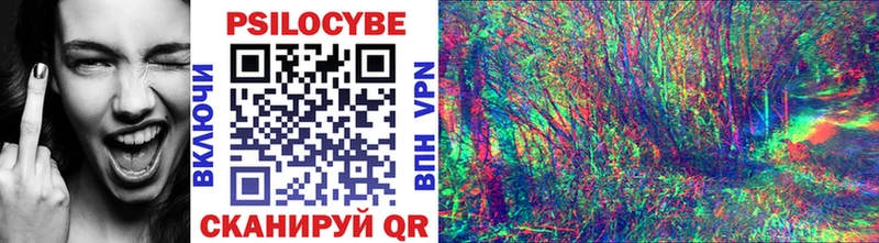 Псилоцибиновые грибы GOLDEN TEACHER omg маркетплейс Новодвинск